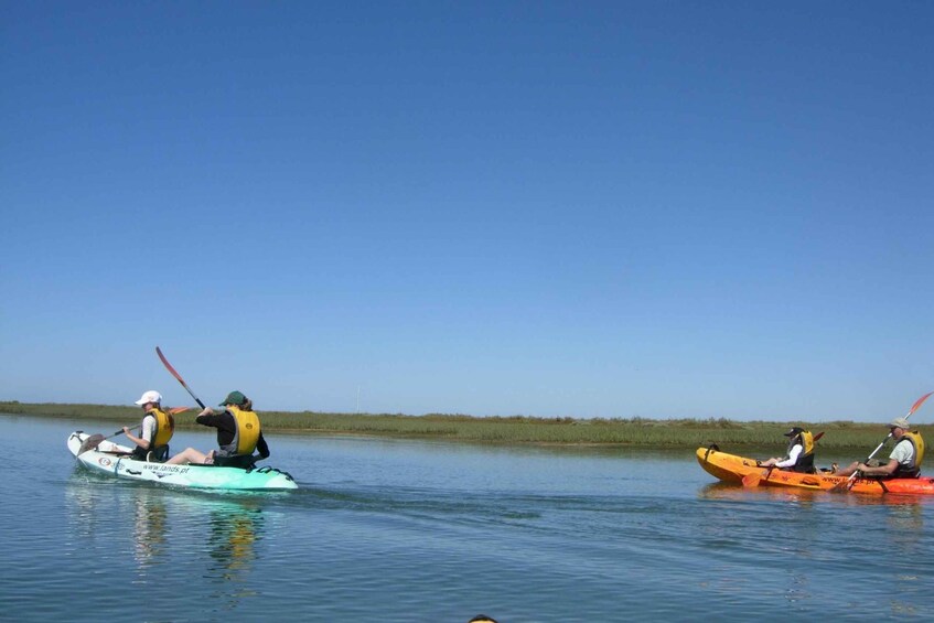 Picture 8 for Activity Faro: Kayak Hire in Ria Formosa Natural Park
