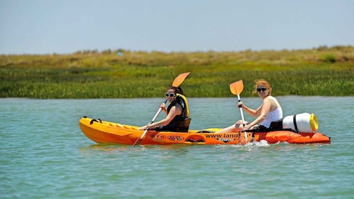 Faro: alquiler de kayak en el Parque Natural de Ria Formosa