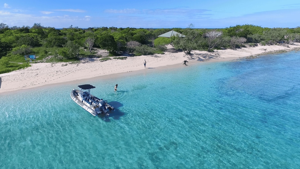 Picture 5 for Activity Noumea cruise ship terminal : Signal Island Swim with turtle
