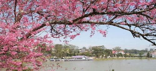 From Nha Trang: Top Site Luxury Da Lat City Trip