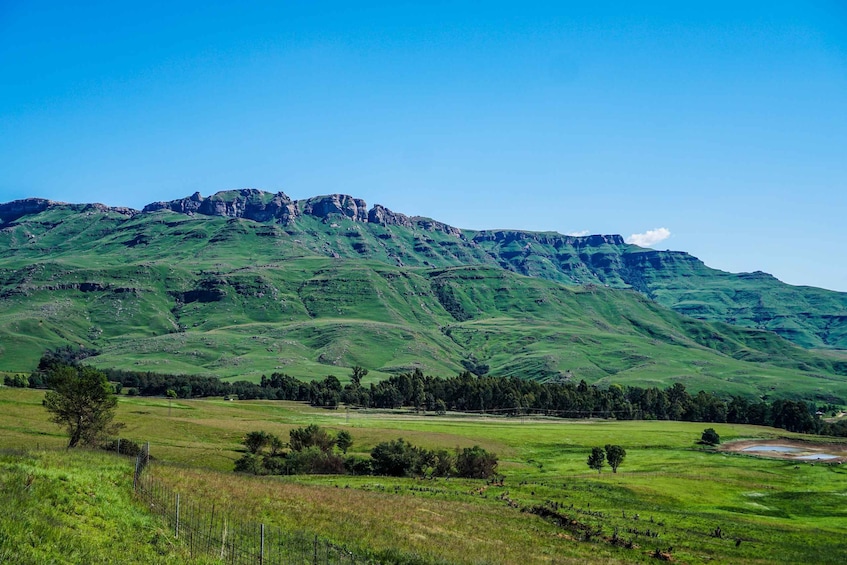 Picture 9 for Activity From Underberg: 4x4 Sani Pass Tour and Basotho Village Visit