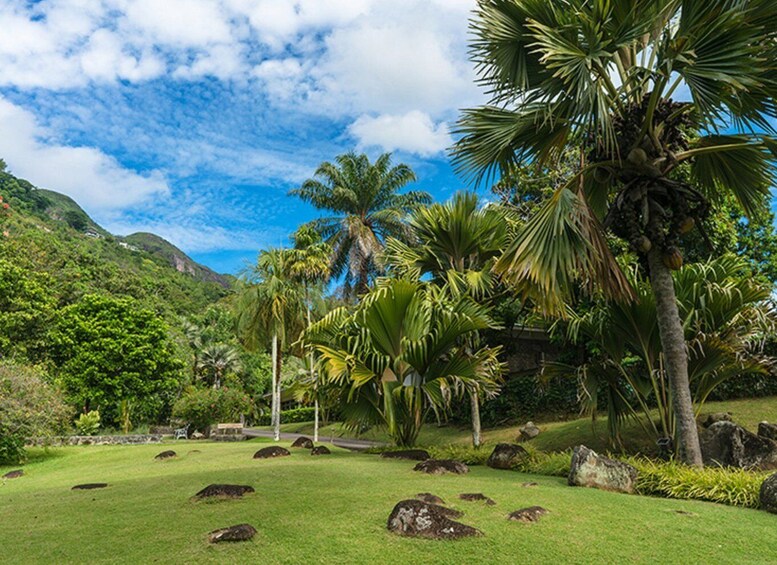 Picture 2 for Activity Mahé Island: Island Highlights Guided Day Trip with Lunch