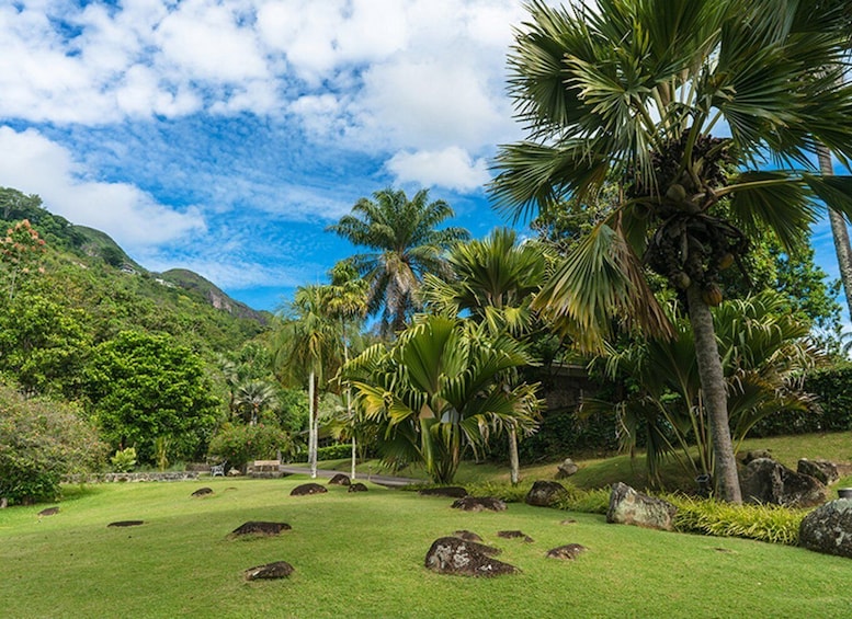 Picture 2 for Activity Mahé Island: Island Highlights Guided Day Trip with Lunch