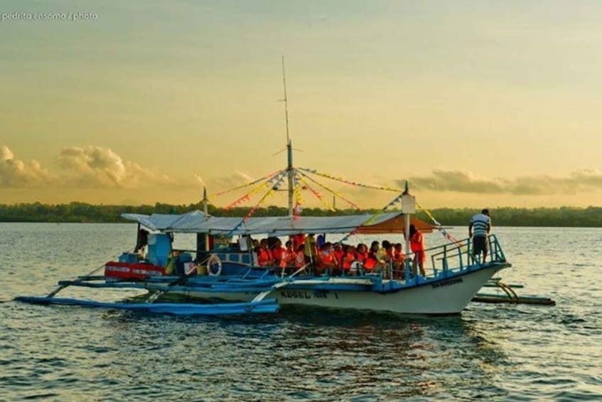 Picture 4 for Activity Puerto Princesa: Firefly Watching Bay Cruise with Dinner