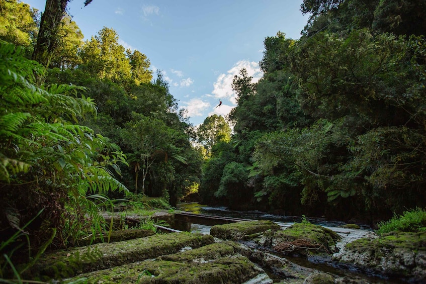 Picture 4 for Activity Okere Falls: Zipline over Waterfalls Experience