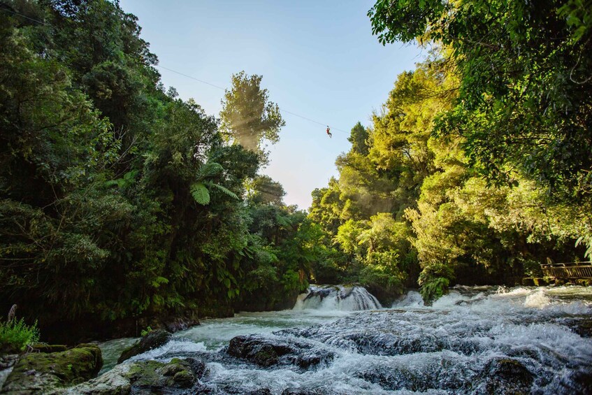 Picture 2 for Activity Okere Falls: Zipline over Waterfalls Experience