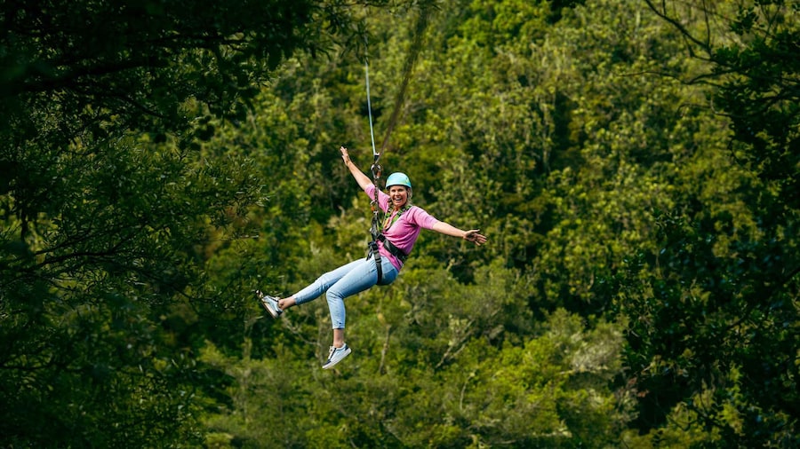 Picture 1 for Activity Okere Falls: Zipline over Waterfalls Experience