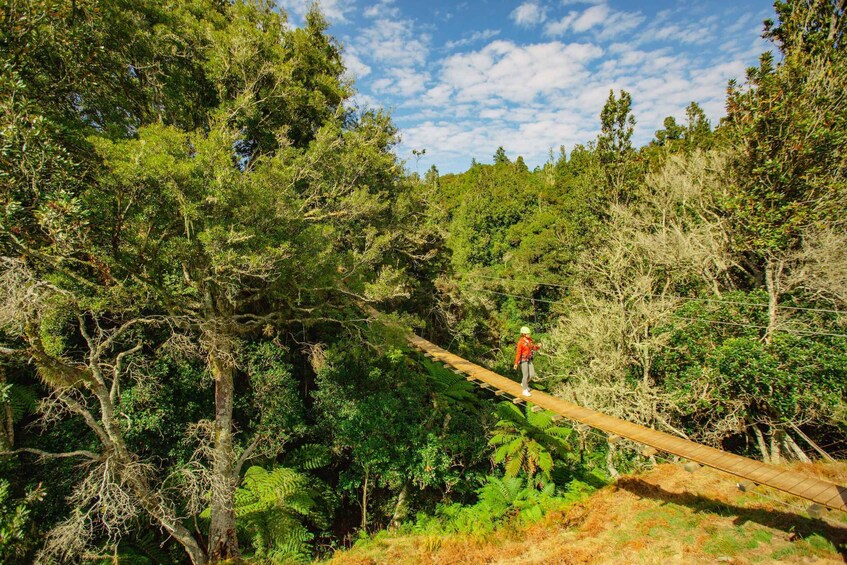 Picture 10 for Activity Okere Falls: Zipline over Waterfalls Experience