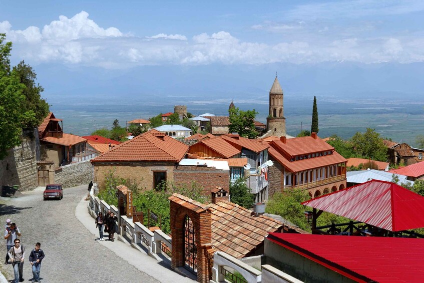 Picture 1 for Activity From Tbilisi: Kakheti Wine Tour with Visit to Sighnaghi