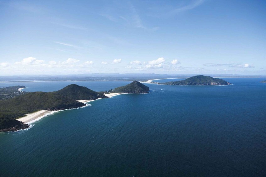 Picture 9 for Activity Port Stephens Small Group Whales & Dunes Combo