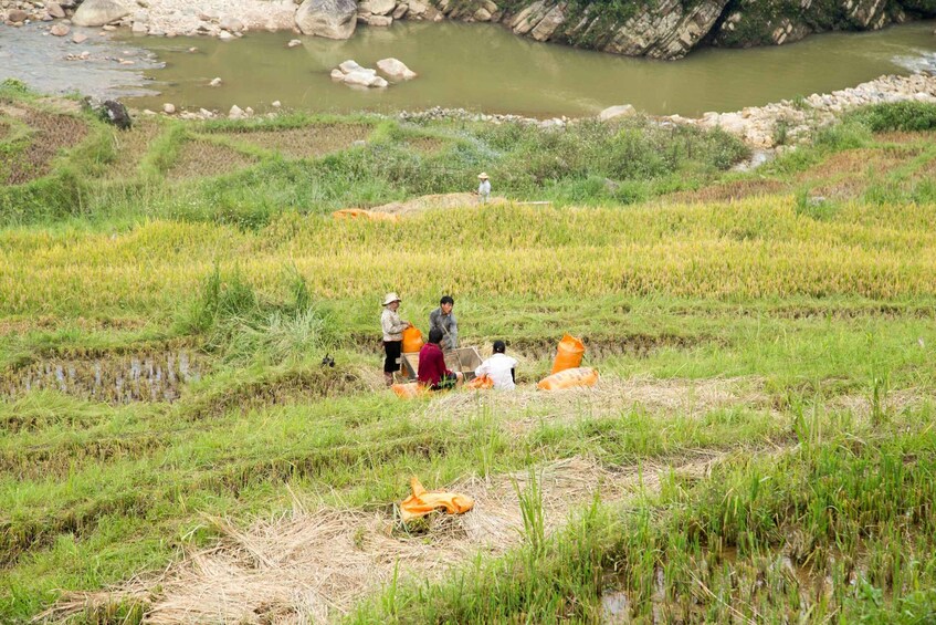 Picture 5 for Activity 2-Day Sapa Adventure with long treks - overnight in hotel