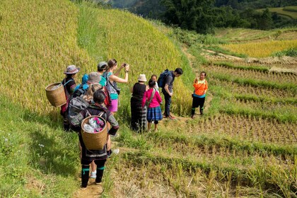 2 jours d'aventure à Sapa avec de longues randonnées - nuit à l'hôtel