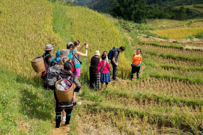 Picture 3 for Activity From Hanoi: Two Day Sapa Tour Trekking and Ethnic Villages