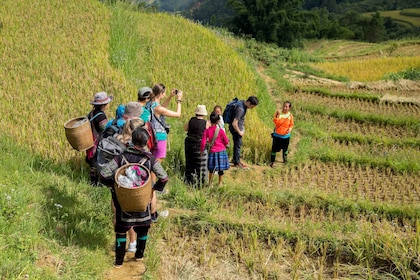 2-Day Sapa Adventure with long treks - overnight in hotel