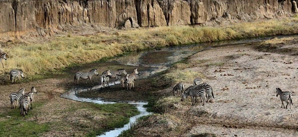 Picture 3 for Activity From Nairobi: Day Tour of Hell`s Gate National park