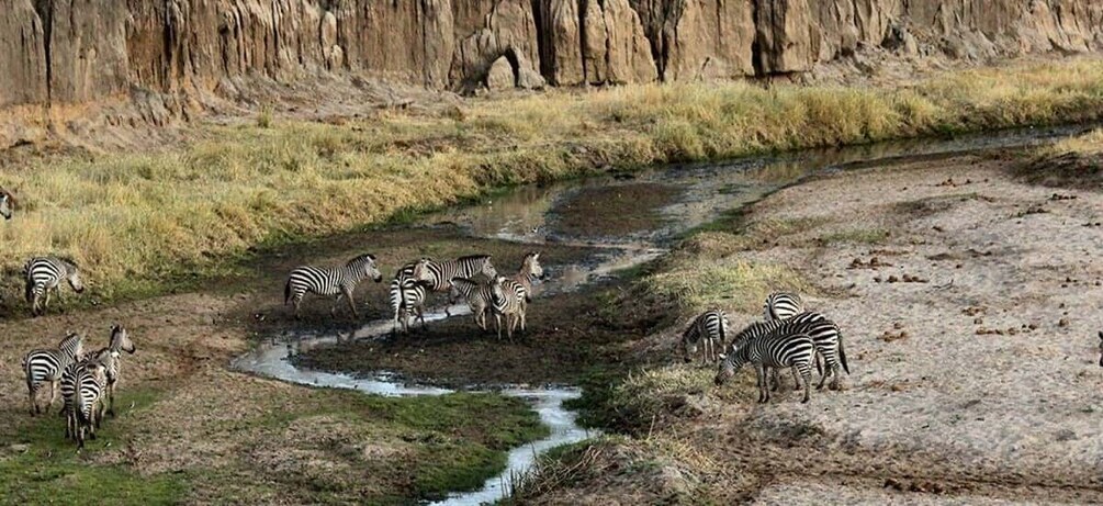 Picture 3 for Activity From Nairobi: Day Tour of Hell`s Gate National park