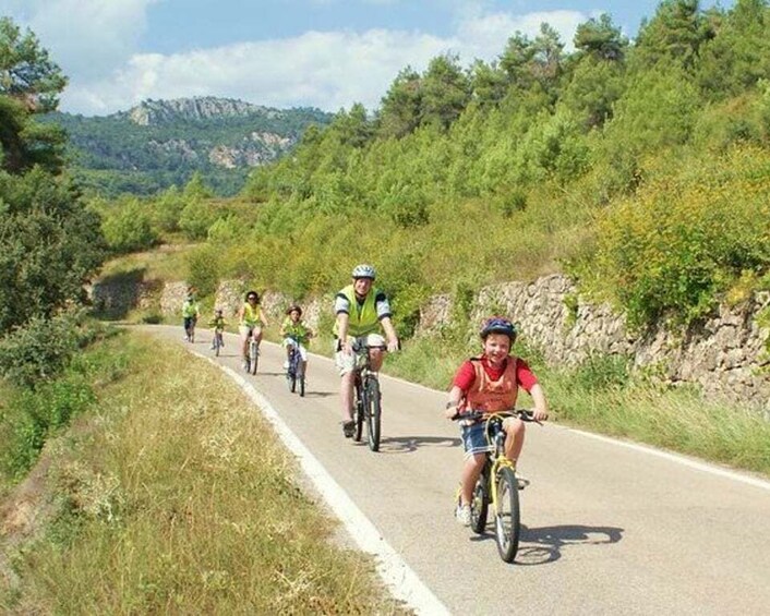 Picture 3 for Activity Half-Day Bike Tour from Salou