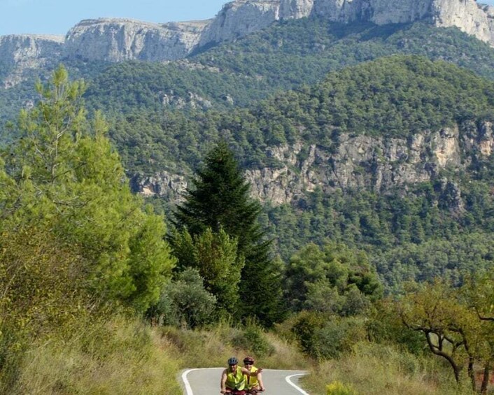 Picture 1 for Activity Half-Day Bike Tour from Salou