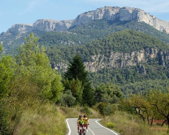 Picture 1 for Activity Half-Day Bike Tour from Salou