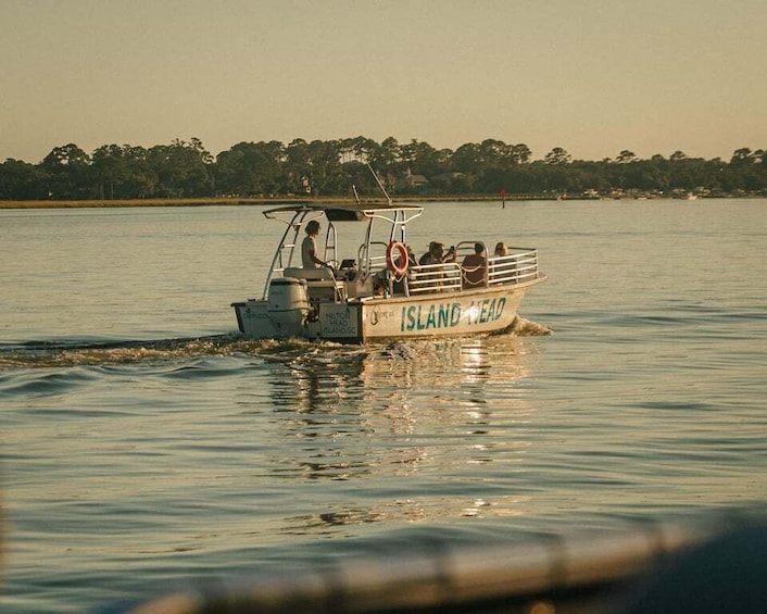 Hilton Head Island: Dolphin Cruise & Nature Tour