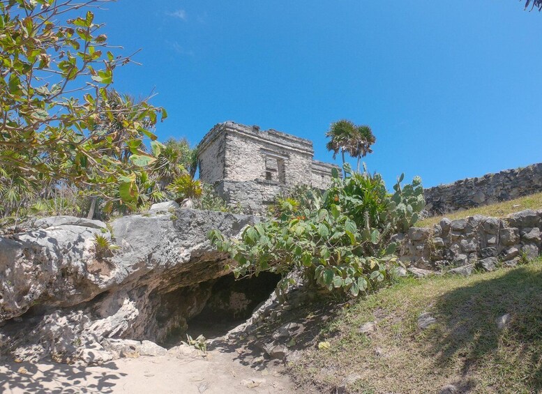 Picture 2 for Activity From Cozumel: Express Tour to Tulum Mayan Ruins