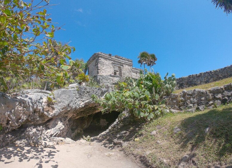 Picture 2 for Activity From Cozumel: Express Tour to Tulum Mayan Ruins