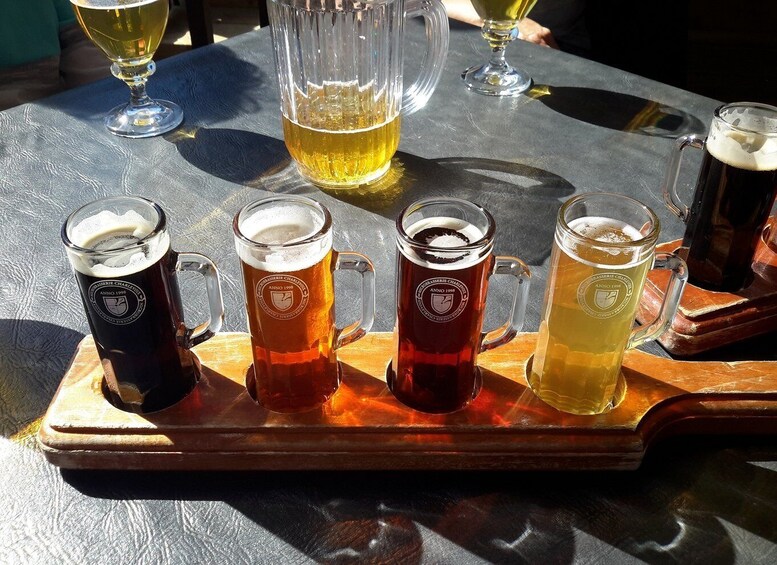 Picture 2 for Activity Polish Beer and Food Tasting Private Tour in Wroclaw