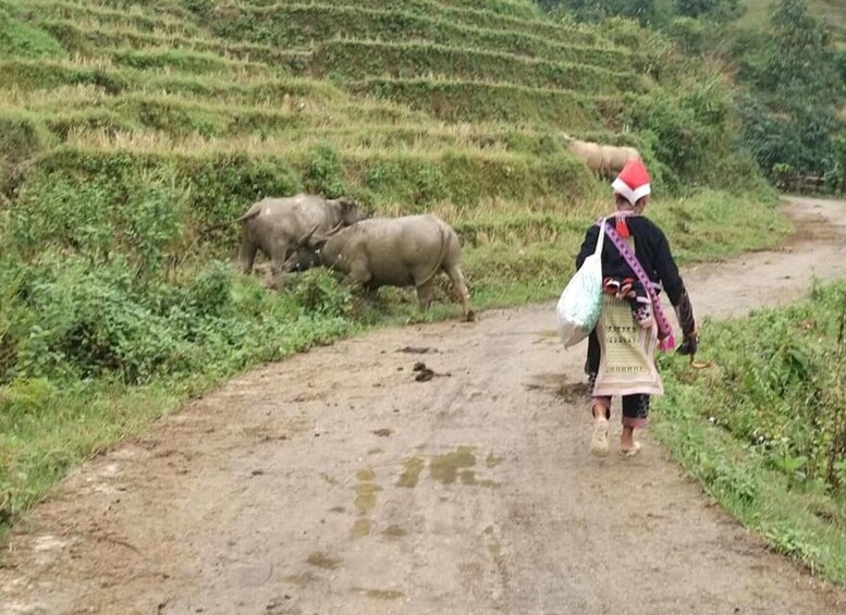 Picture 1 for Activity Sapa: Full-Day Private Muong Hoa Valley Tour