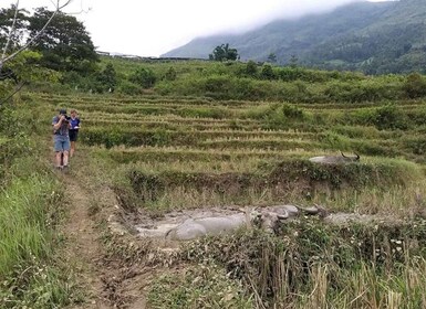 Sapa: Full-Day Private Muong Hoa Valley Tour