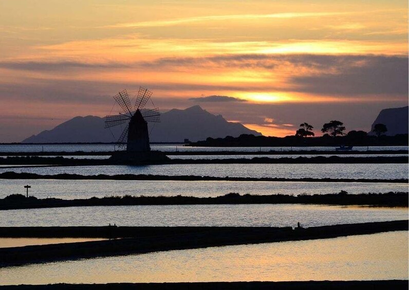 Picture 6 for Activity From Palermo: Erice & Marsala Salt, Olive Oil, and Wine Tour