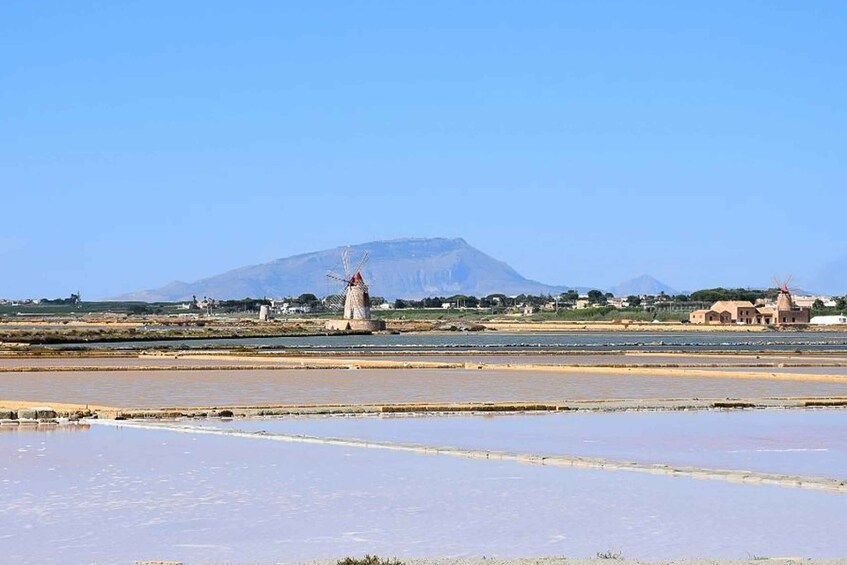 Picture 1 for Activity From Palermo: Erice & Marsala Salt, Olive Oil, and Wine Tour