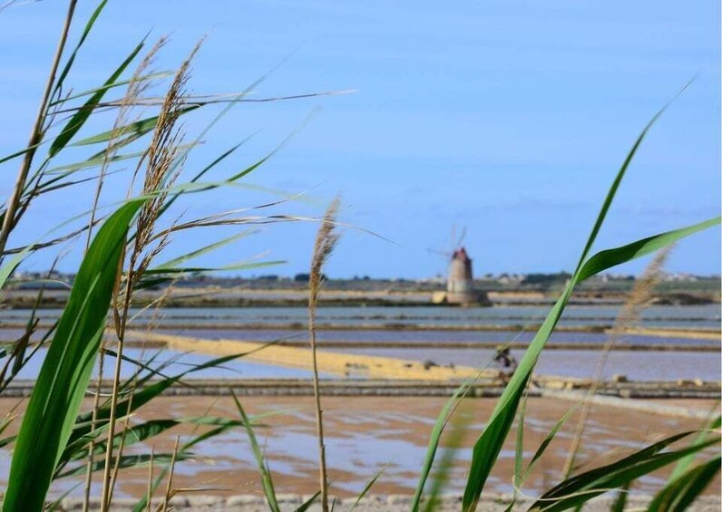 Picture 8 for Activity From Palermo: Erice & Marsala Salt, Olive Oil, and Wine Tour