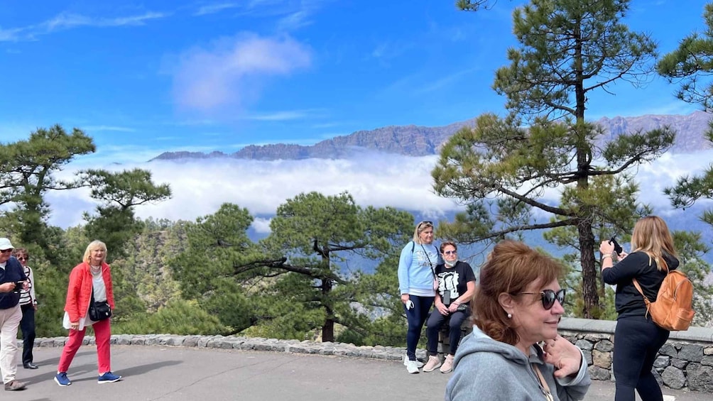 Picture 8 for Activity From Tenerife: Day Trip to La Palma Volcanic Landscapes
