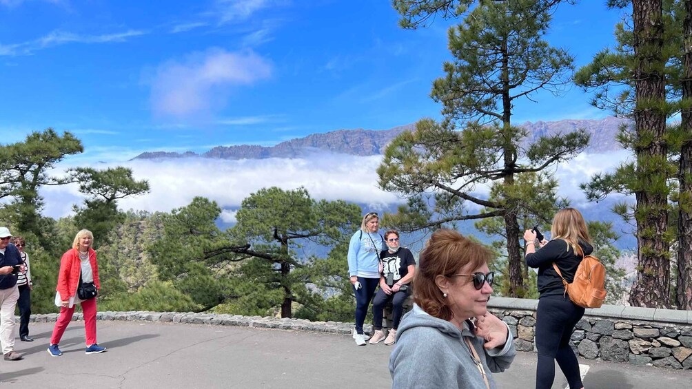 Picture 8 for Activity From Tenerife: Day Trip to La Palma Volcanic Landscapes