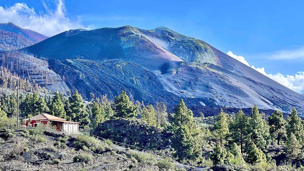 Picture 5 for Activity From Tenerife: Day Trip to La Palma Volcanic Landscapes