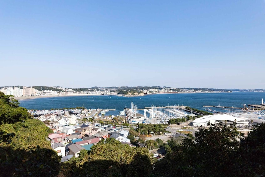 Picture 2 for Activity From Tokyo: Kamakura and Enoshima 1-Day Bus Tour