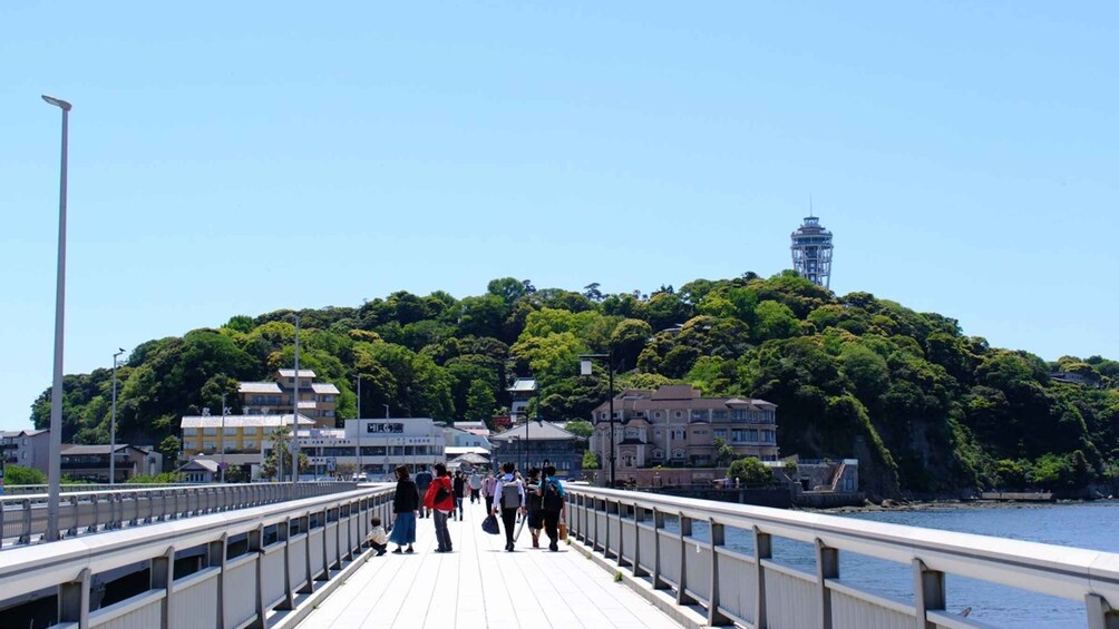 Picture 2 for Activity From Tokyo: Kamakura and Enoshima 1-Day Bus Tour