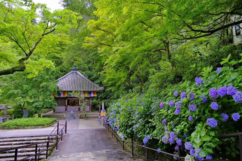 Picture 27 for Activity From Tokyo: Kamakura and Enoshima 1-Day Bus Tour
