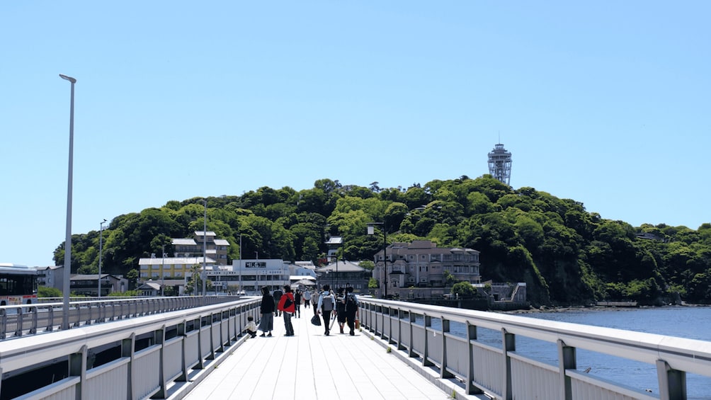 Picture 2 for Activity From Tokyo: Kamakura and Enoshima 1-Day Bus Tour