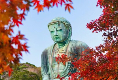 Vanuit Tokio: Kamakura en Enoshima 1-daagse bustour