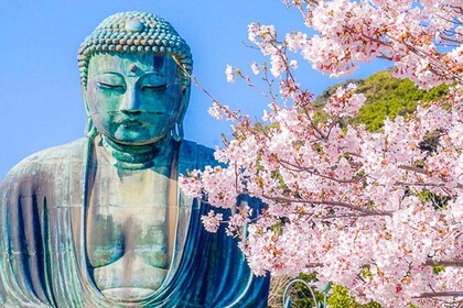 Von Tokio aus: Kamakura und Enoshima 1-Tages-Bustour