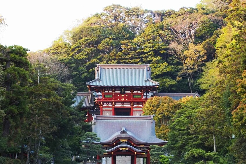 Picture 6 for Activity From Tokyo: Kamakura and Enoshima 1-Day Bus Tour