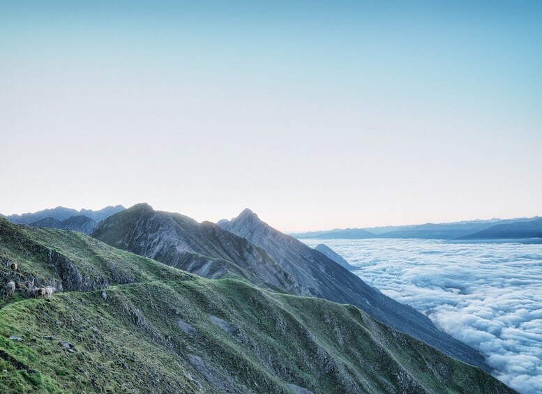 Picture 4 for Activity Innsbruck: Alpenzoo & Top of Innsbruck Combination Ticket