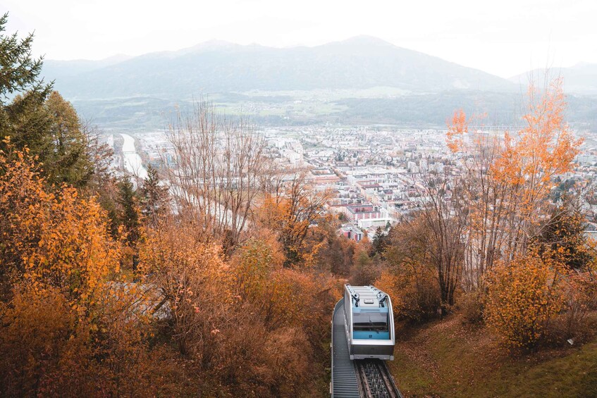 Picture 9 for Activity Innsbruck: Alpenzoo & Top of Innsbruck Combination Ticket