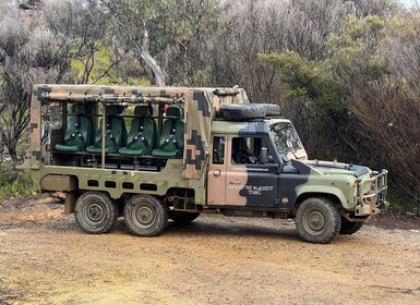 Blue Mountains 3 Hour Army Lorry Adventures