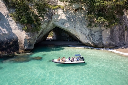 Whitianga: Cathedral Cove, Cruise, Caves and Snorkelling Tour