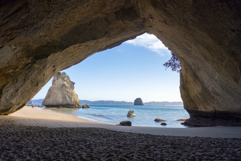 Picture 4 for Activity From Whitianga: Cathedral Cove Marine Reserve Cruise & Swim