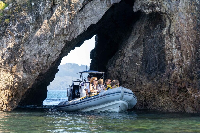 Picture 1 for Activity Whitianga: Cathedral Cove, Cruise, Caves and Snorkeling Tour