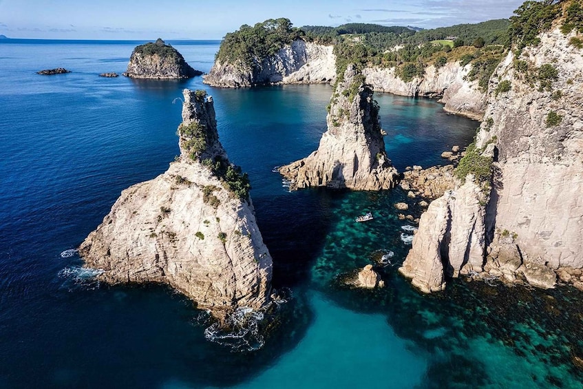 Picture 4 for Activity From Whitianga: Cathedral Cove Cruise with Snorkeling