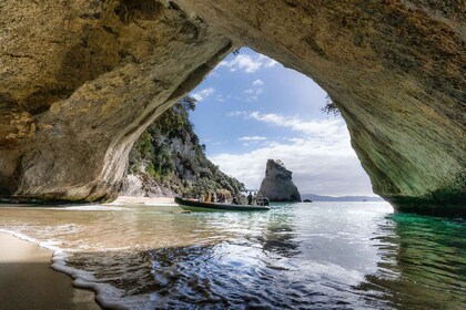 From Whitianga: Cathedral Cove Cruise with Snorkeling